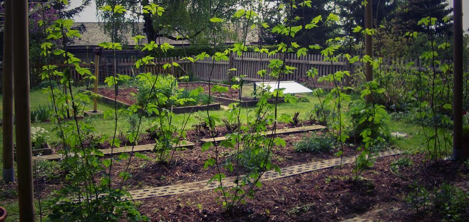 Woman with blond hair style